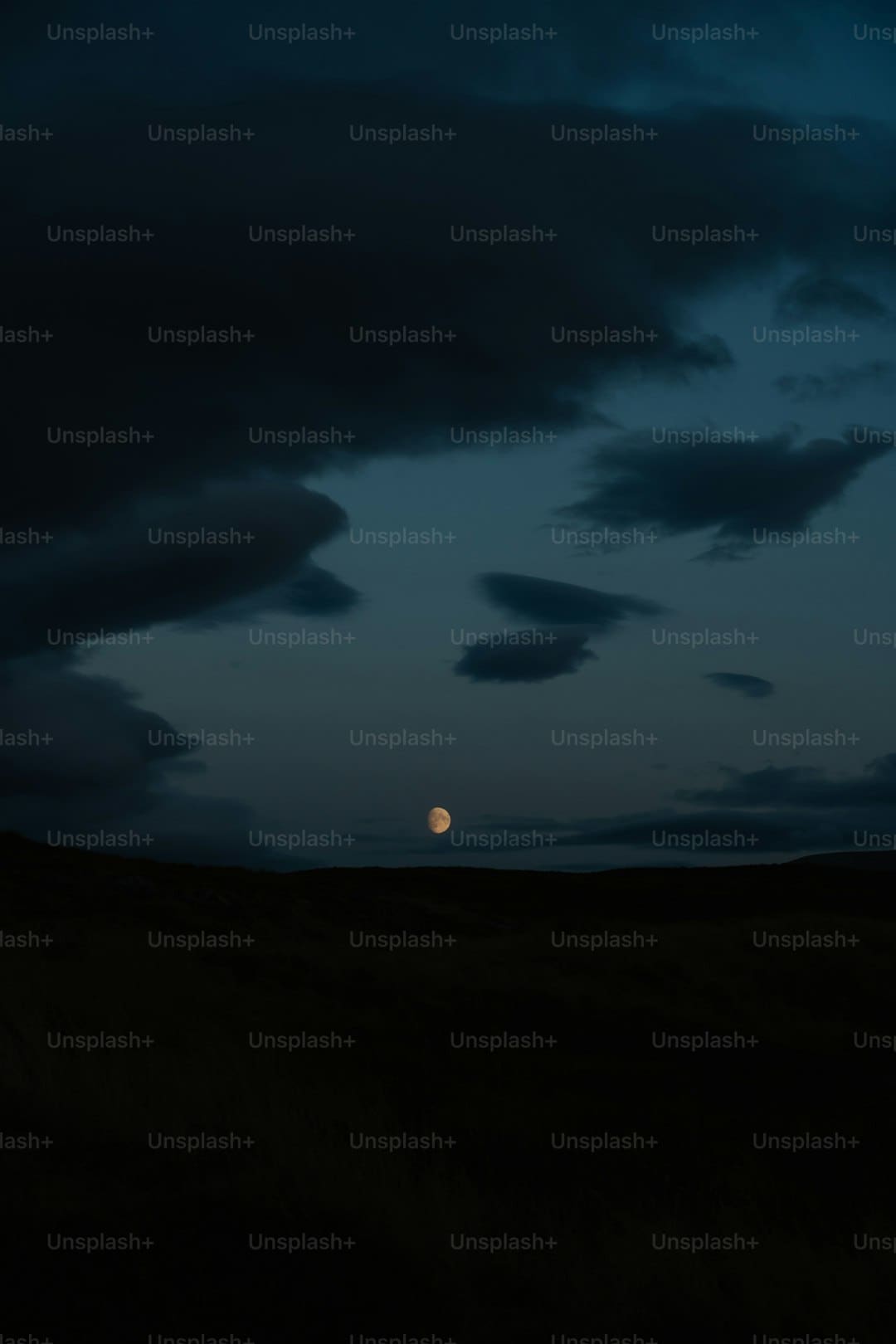 《星期三》第二季发布宣传照 哥特宗族全家福